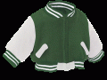 jacket green sept ver copy.gif jacket green sept ver copy.gif
